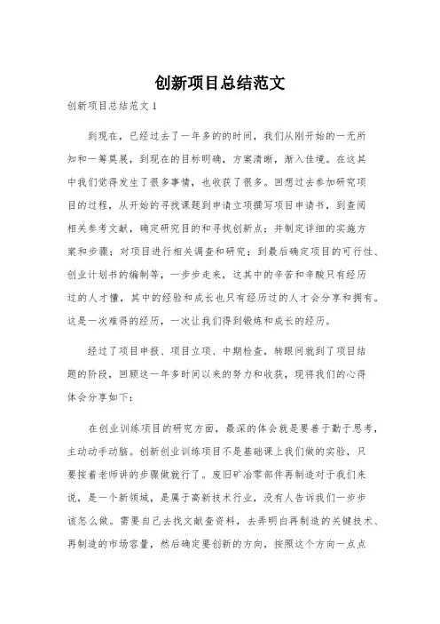 创新项目总结范文