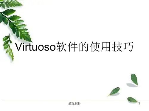 (汇总)Virtuoso软件的使用技巧.ppt