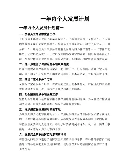 一年内个人发展计划