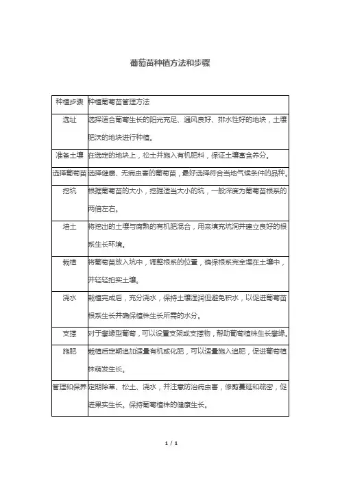 葡萄苗种植方法和步骤