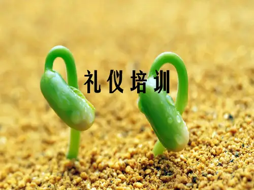 宝钰黄金珠宝礼仪培训幻灯片PPT