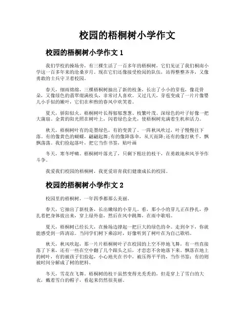校园的梧桐树小学作文