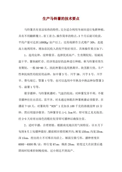 生产马铃薯的技术要点