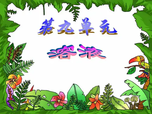人教版九年级化学下册第九单元《溶液》复习课件(共37张PPT)