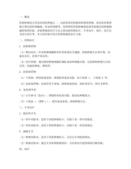 犬肝脏肿瘤治疗方案