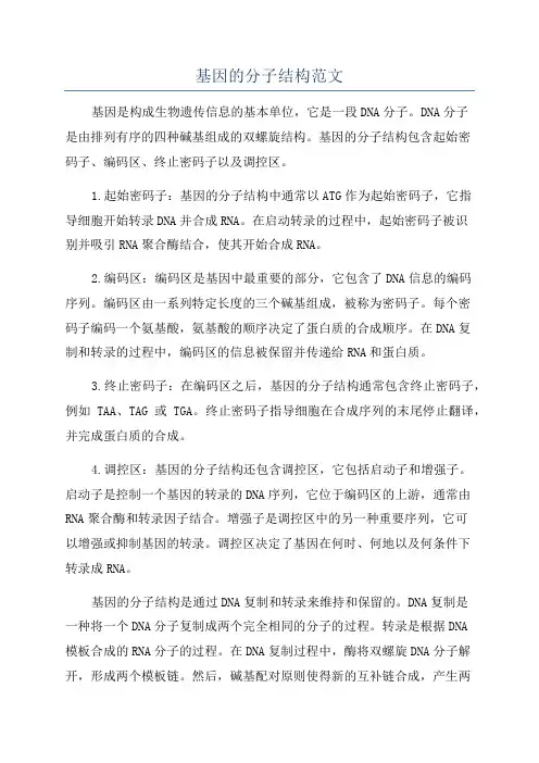 基因的分子结构范文