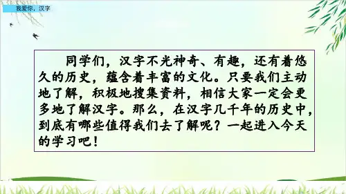 人教部编版五年级下册我爱你汉字(完美版)PPT课件