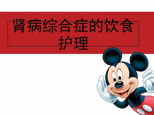肾病综合症的饮食护理(课堂PPT)