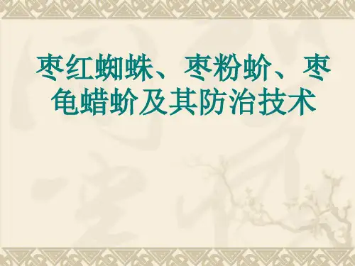 枣红蜘蛛、枣粉蚧和枣龟蜡蚧特点及防治