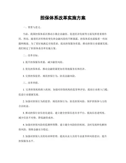 担保体系改革实施方案