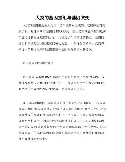 人类的基因重组与基因突变