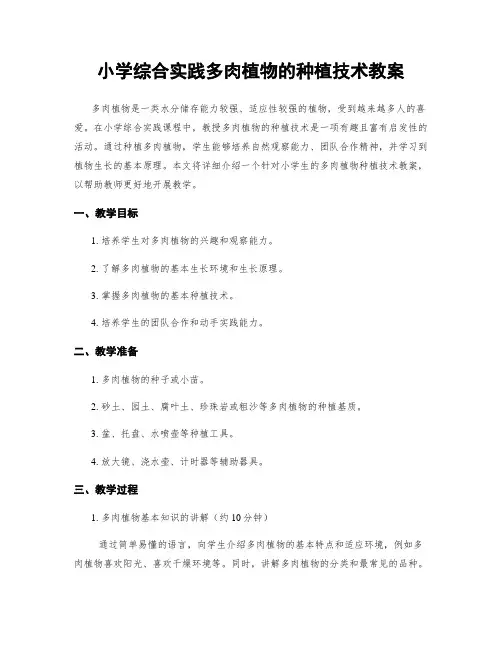 小学综合实践多肉植物的种植技术教案