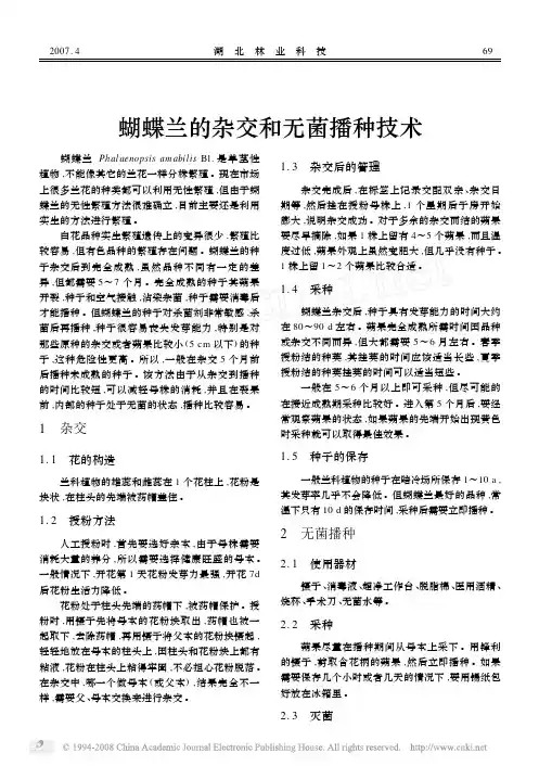 蝴蝶兰的杂交和无菌播种技术