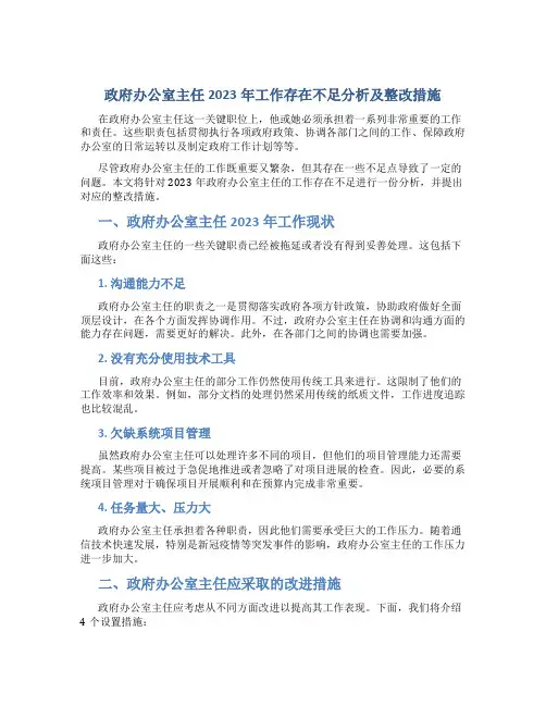 政府办公室主任2023年工作存在不足分析及整改措施