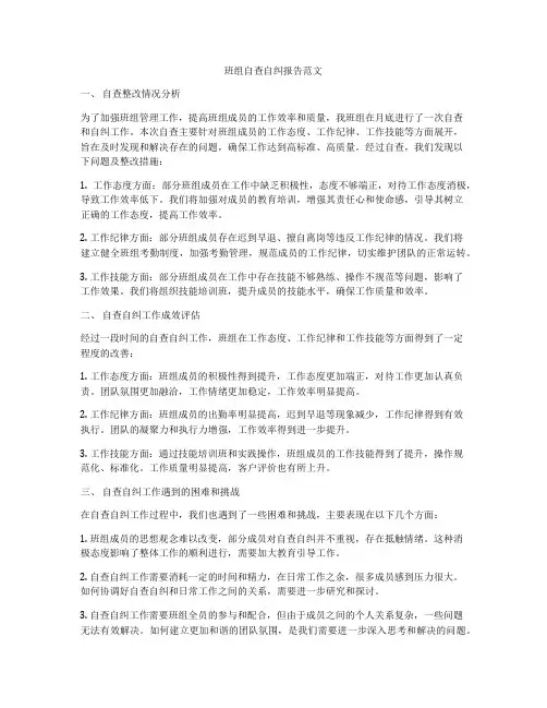 班组自查自纠报告范文