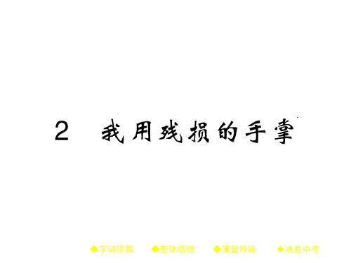 人教 9下  语文：第2课《我用残损的手掌》ppt课件