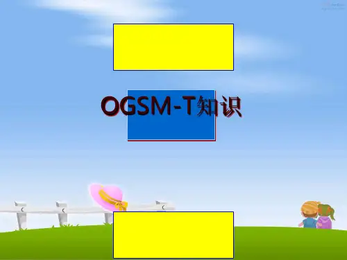 最新OGSM-T知识