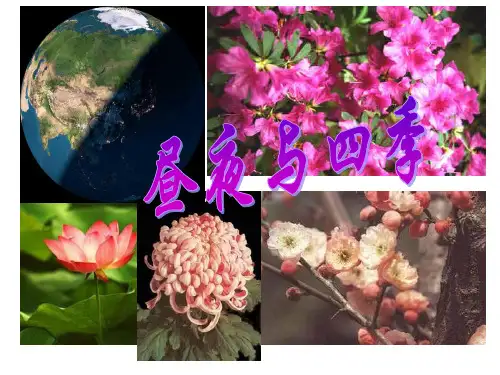 华师大版初中科学七年级上册7.2昼夜与四季  课件(共41张ppt)