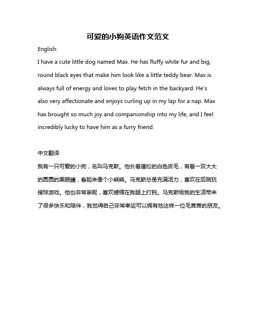 可爱的小狗英语作文范文