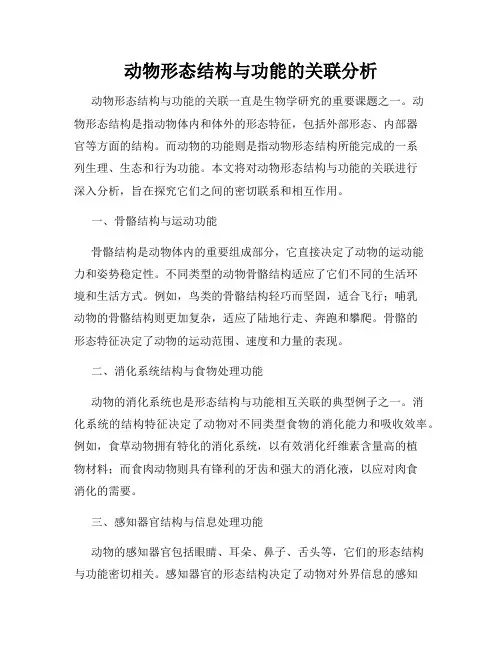 动物形态结构与功能的关联分析