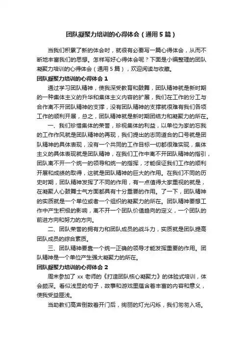 团队凝聚力培训的心得体会（通用5篇）