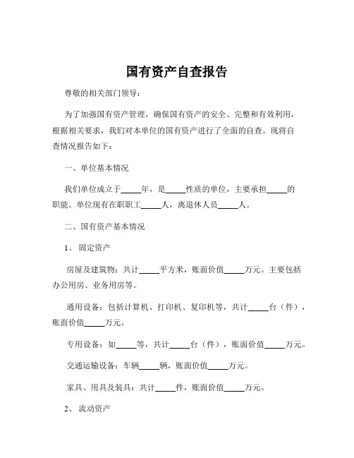 国有资产自查报告