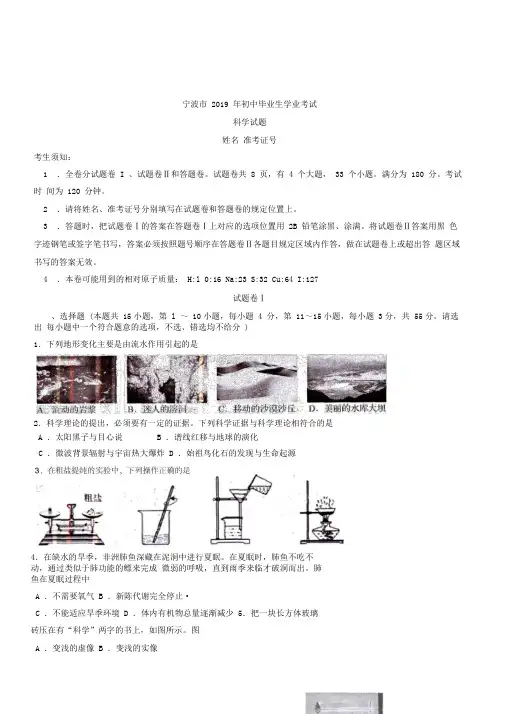 2019年浙江省宁波市中考科学试卷(Word版,含答案)