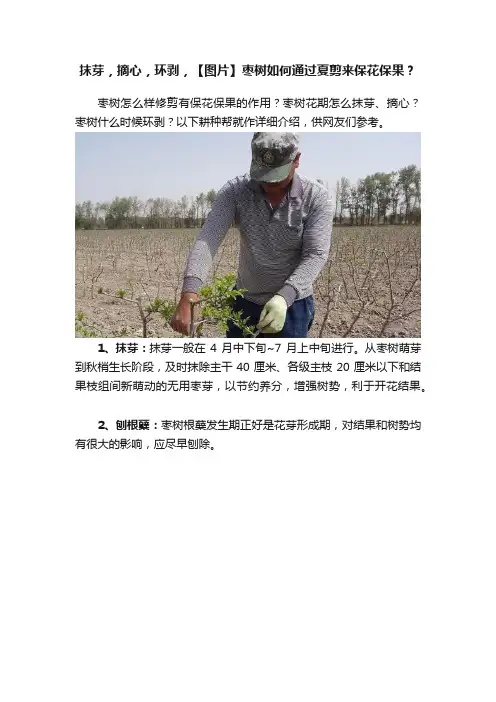 抹芽，摘心，环剥，【图片】枣树如何通过夏剪来保花保果？
