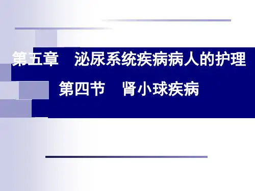 《肾小球肾炎》PPT课件