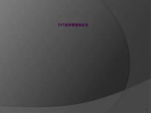 导管溶栓ppt课件