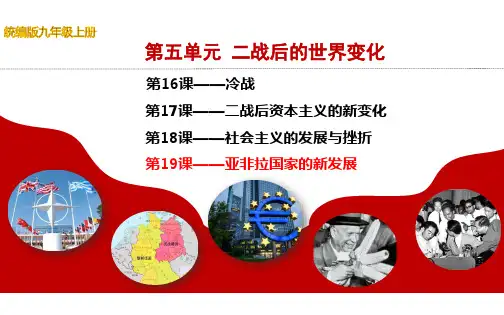 第19课亚非拉国家的新发展(课件)-九年级历史下册同步精品课件(统编版)