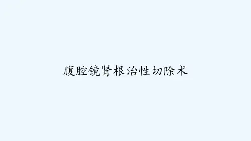 腹腔镜肾根治性切除术 PPT