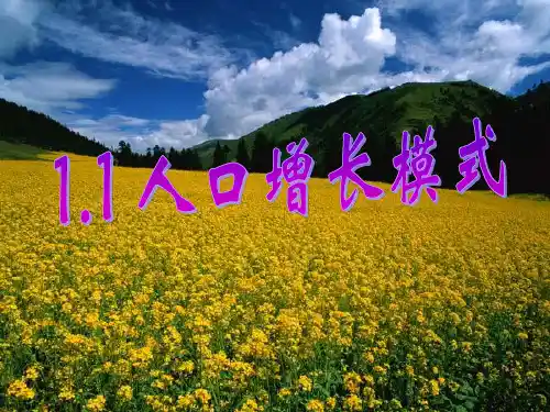 21.1人口增长模式