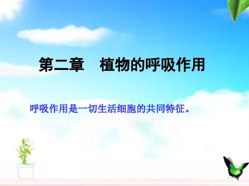 5-2呼吸作用