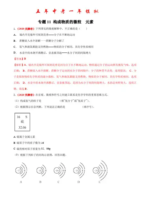 《构成物质的微粒  元素》2022年中考化学试题分项详解(天津专用)(附答案)