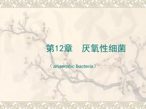 初中八年级(初二)生物 第12章厌氧性细菌