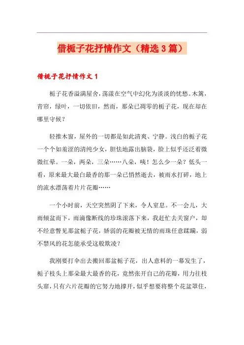 借栀子花抒情作文(精选3篇)