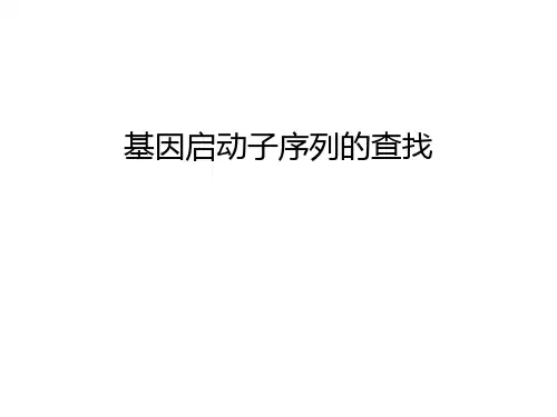 基因启动子序列的查找知识讲解