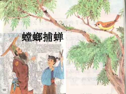 省级优秀课件-语文人教版六年级下册螳螂捕蝉《螳螂捕蝉》