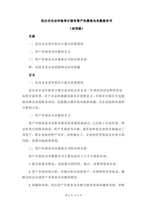 民办非企业年检审计报告资产负债表为负数报告书