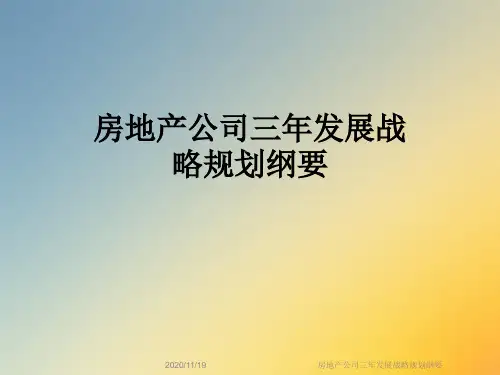 房地产公司三年发展战略规划纲要