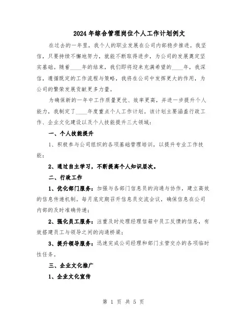 2024年综合管理岗位个人工作计划例文（三篇）