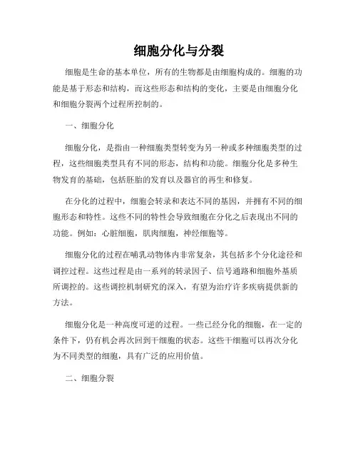 细胞分化与分裂