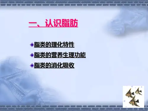 脂肪与人体健康PPT课件