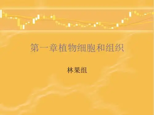 第一第一节植物细胞的形态和构造概要