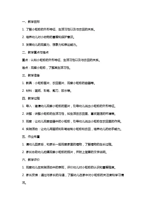 幼儿园小班《小蚯蚓》教案