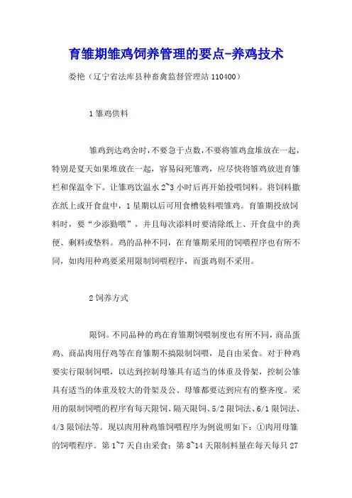 育雏期雏鸡饲养管理的要点 - 养鸡技术