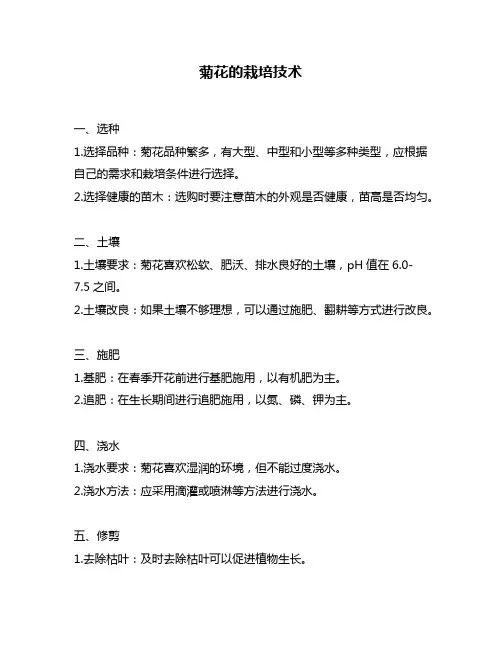菊花的栽培技术