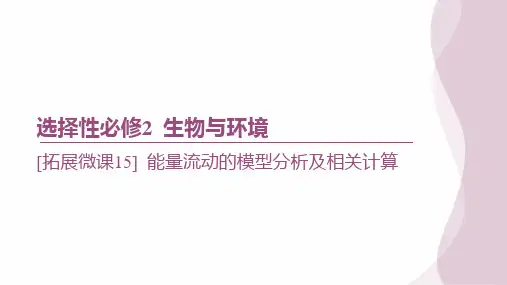 一轮复习  人教版 [拓展微课15] 能量流动的模型分析及相关计算(19张) 课件