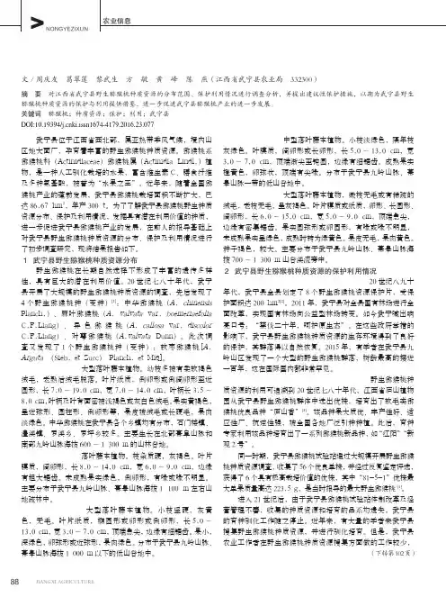 野生猕猴桃种质资源分布、保护利用情况及建议——以武宁县为例